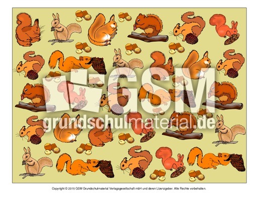 Motivpapier-Eichhörnchen.pdf